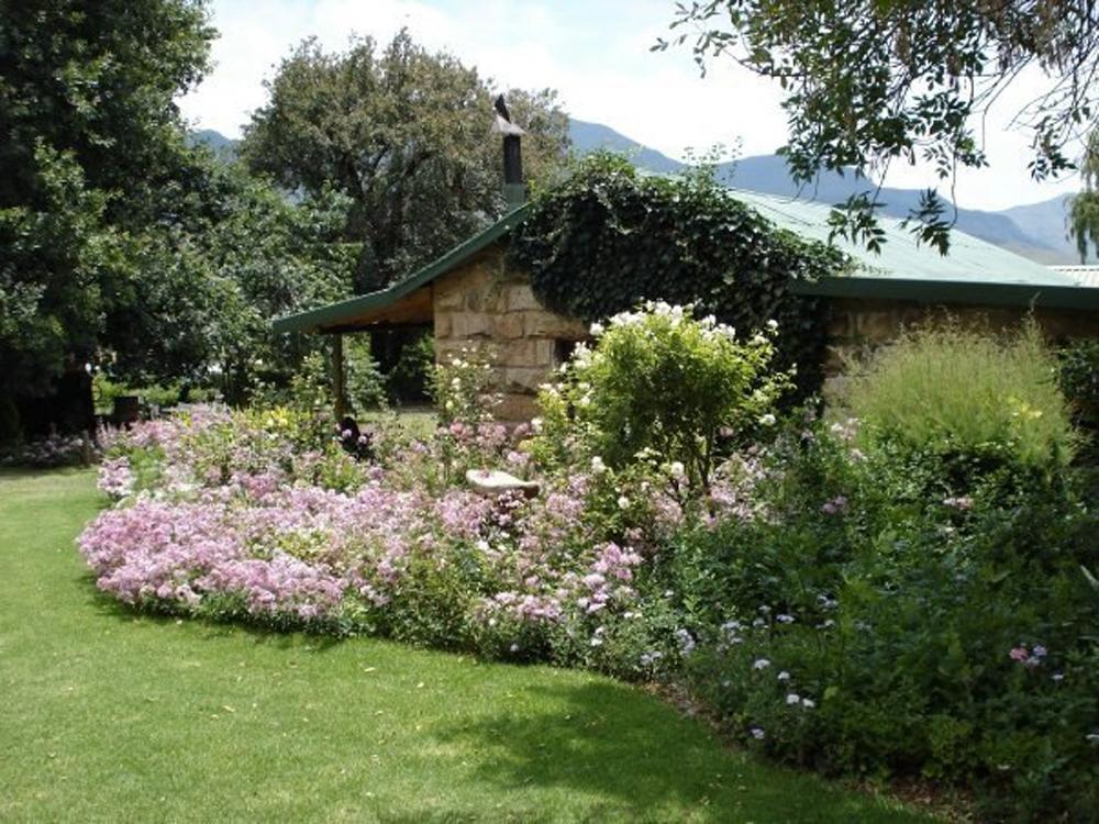 De Molen Farm Villa คลาเรนส์ ภายนอก รูปภาพ